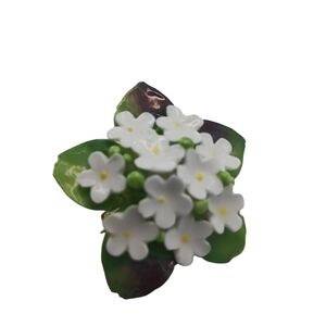 Vintage Staffordshire Womens Flower Brooch England White 2 in wide Spring